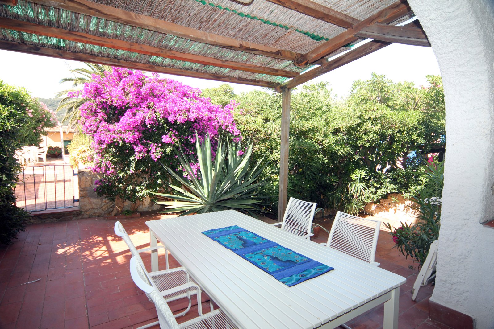 Appartamento 35 a Giglio Campese