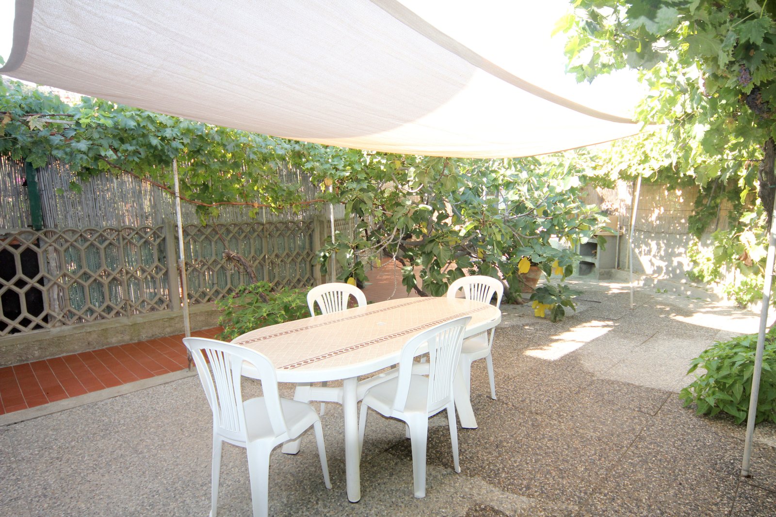 Appartamento 55 a Giglio Campese