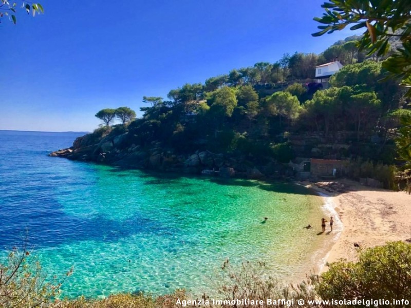 rent-gallery.alt_base